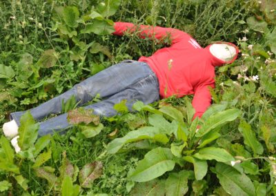 Scarecrow in a red sweatshirt lying in tall grass.