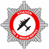 Aviation Fire and Rescue Service badge logo.