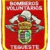 Volunteer Firefighters Tegueste emblem.