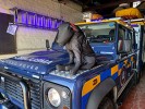 Dog dressed in black sitting on rescue vehicle.