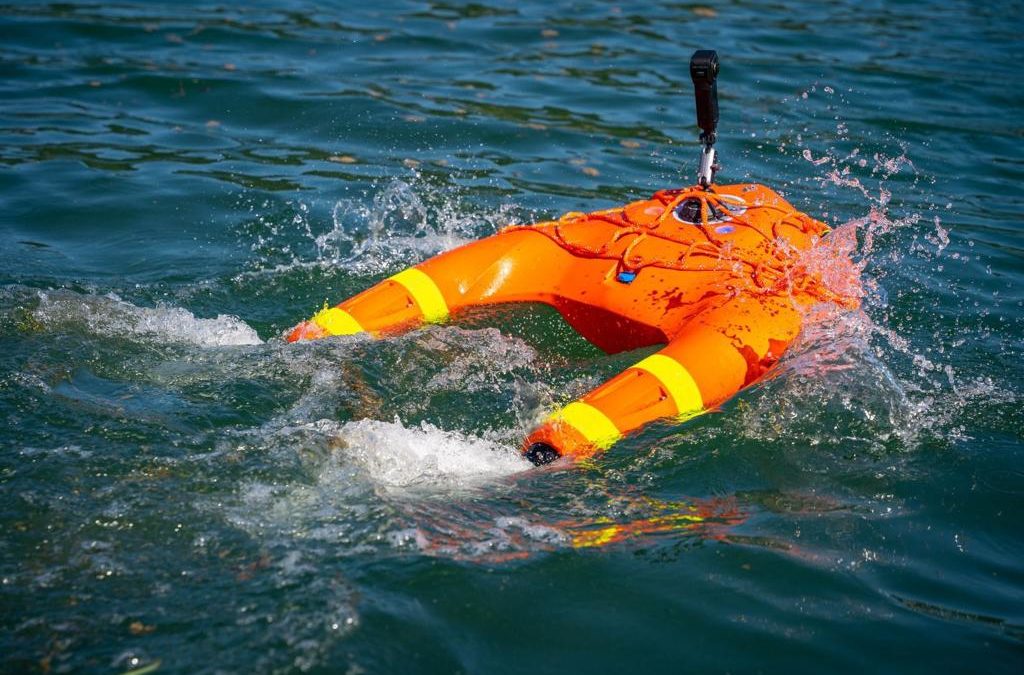 Unveiling FReD: Answering the Top 3 Questions About Our Revolutionary Water Rescue Device