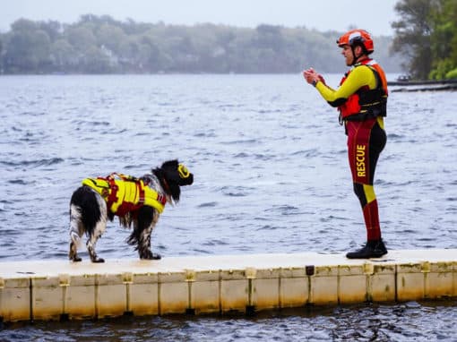 Saving Lives, One Paw at a Time: How This Newfie Uses Ruth Lee Manikins in Canine Water Rescue Training