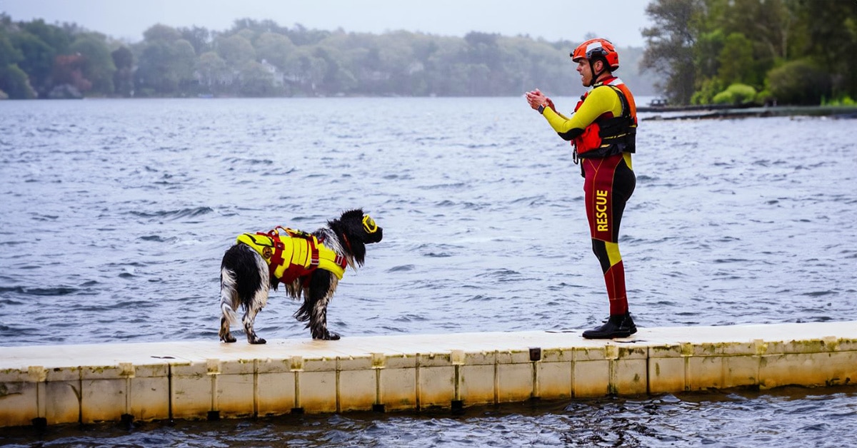 Saving Lives, One Paw at a Time: How This Newfie Uses Ruth Lee Manikins in Canine Water Rescue Training