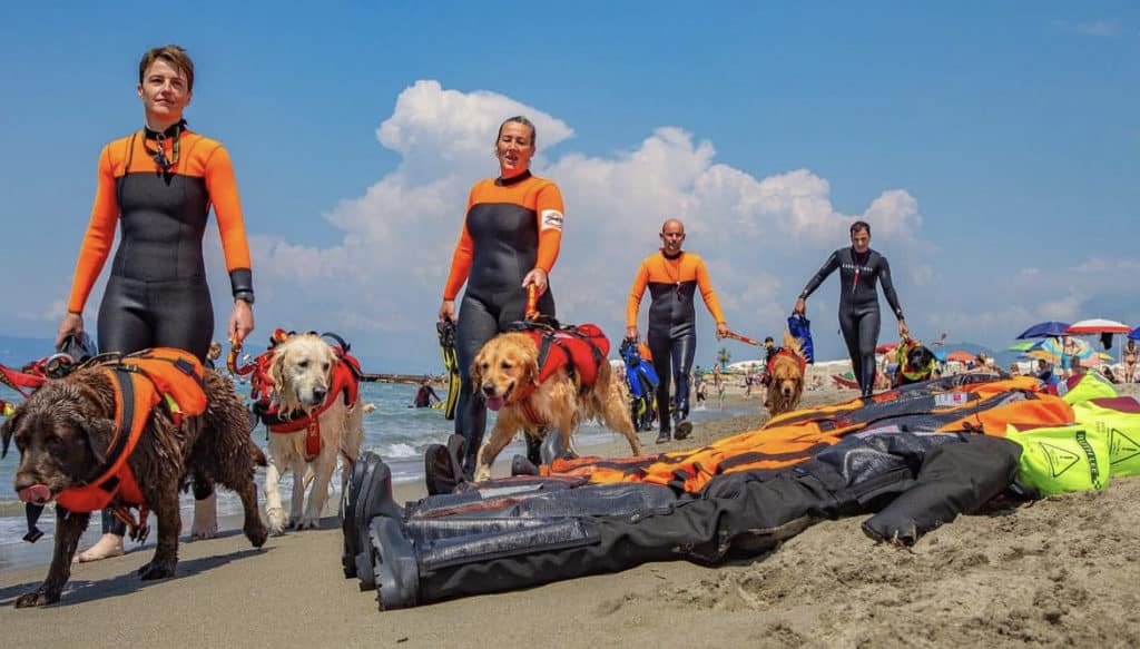 Dogs training with rescue manikin at beach