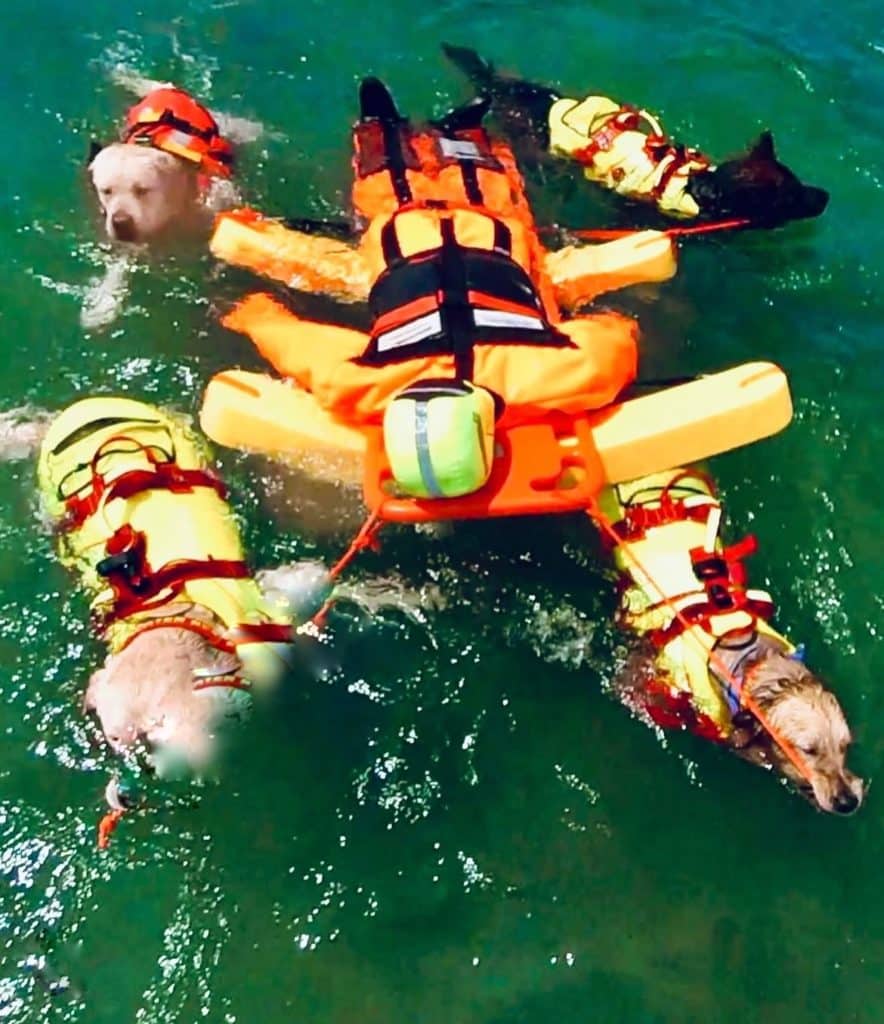 Saving Lives, One Paw at a Time: Ruth Lee Manikins in Canine Water Rescue Training